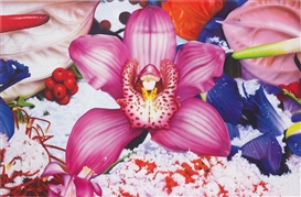 PERFLUOROCARBONATION by Marc Quinn